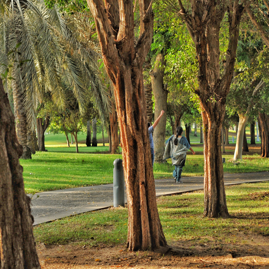 WalkingPeople-Trees-FinishedPark-Square_Cropped
